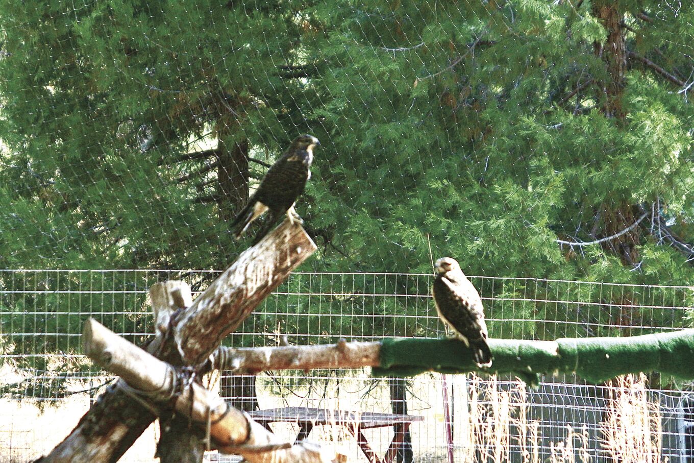 Badger Run Wildlife Refuge in Klamath Falls seeks donations for expansion